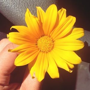 Meet your Posher, Ligia